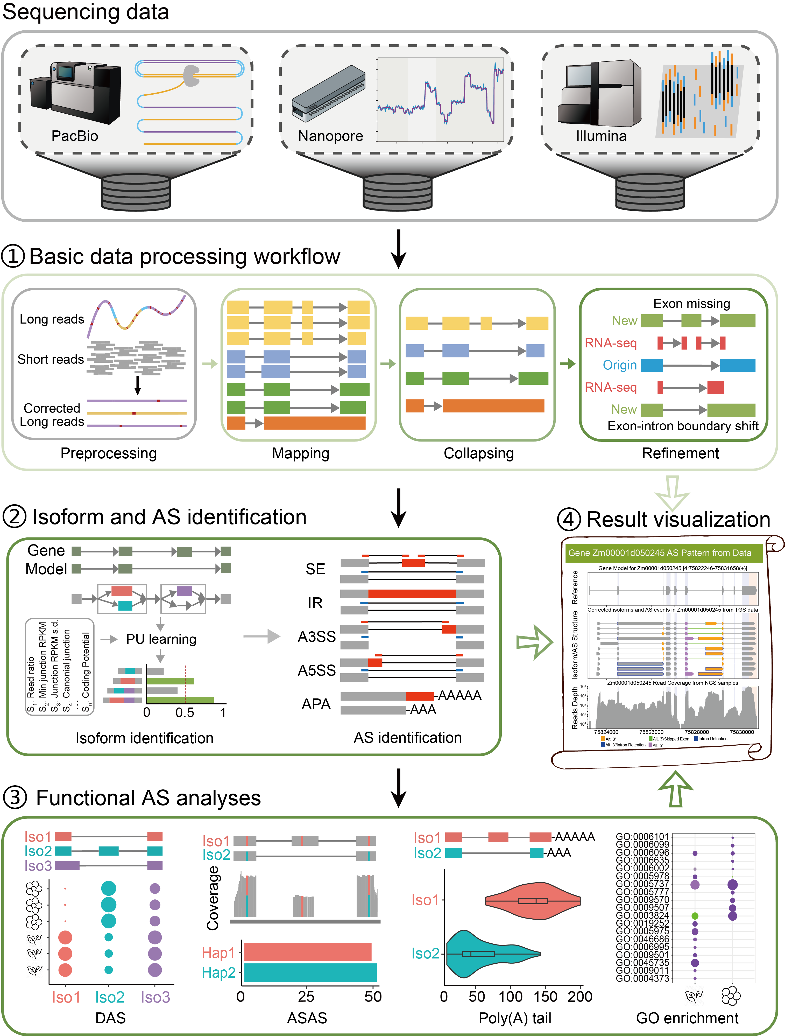 iFLAS_workflow